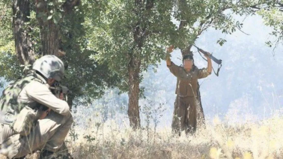 Yakalanan PKK'lı kadın KOÜ mezunu çıktı!