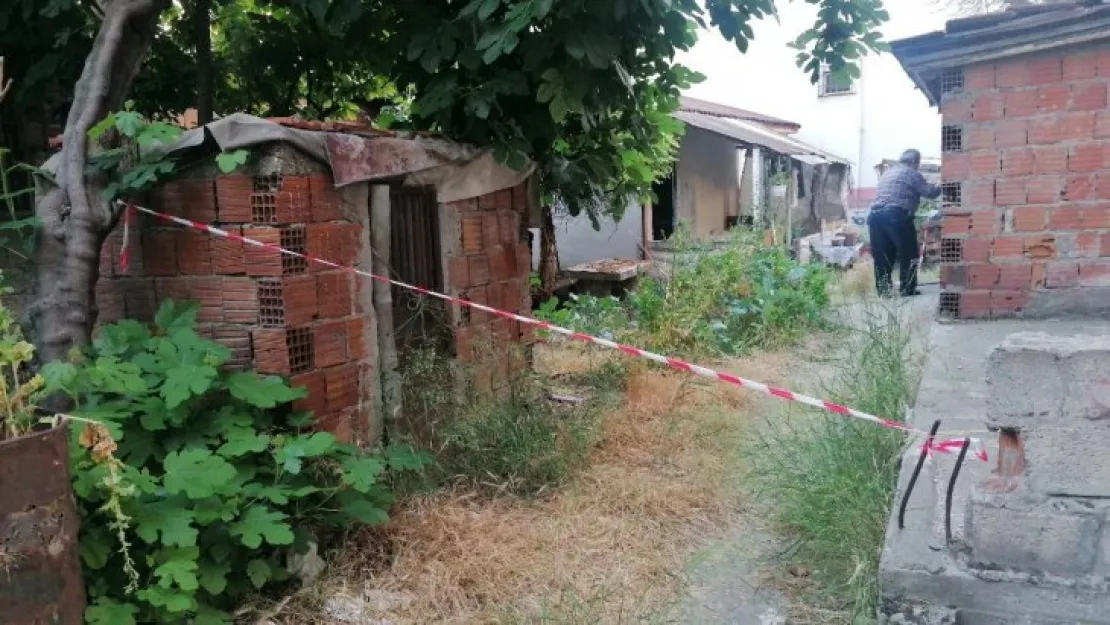 Çıktığı asmadan düşerek hayatını kaybetti