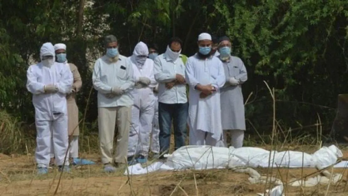 Yarasa kaynaklı Nipah virüsü yüzünden hayatını kaybetti