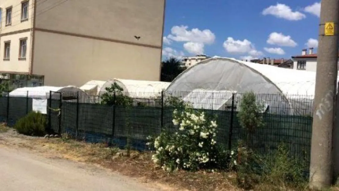 Yaşlı adamın ölümüyle ilgili kan donduran iddia!