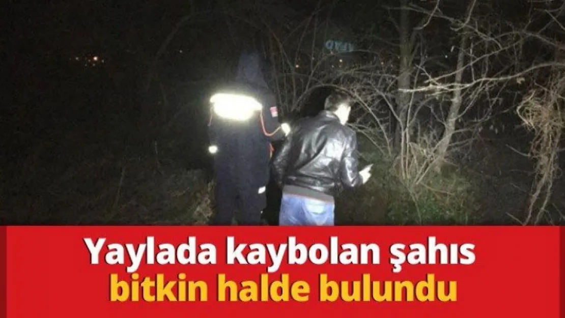 Yaylada kaybolan şahıs bitkin halde bulundu