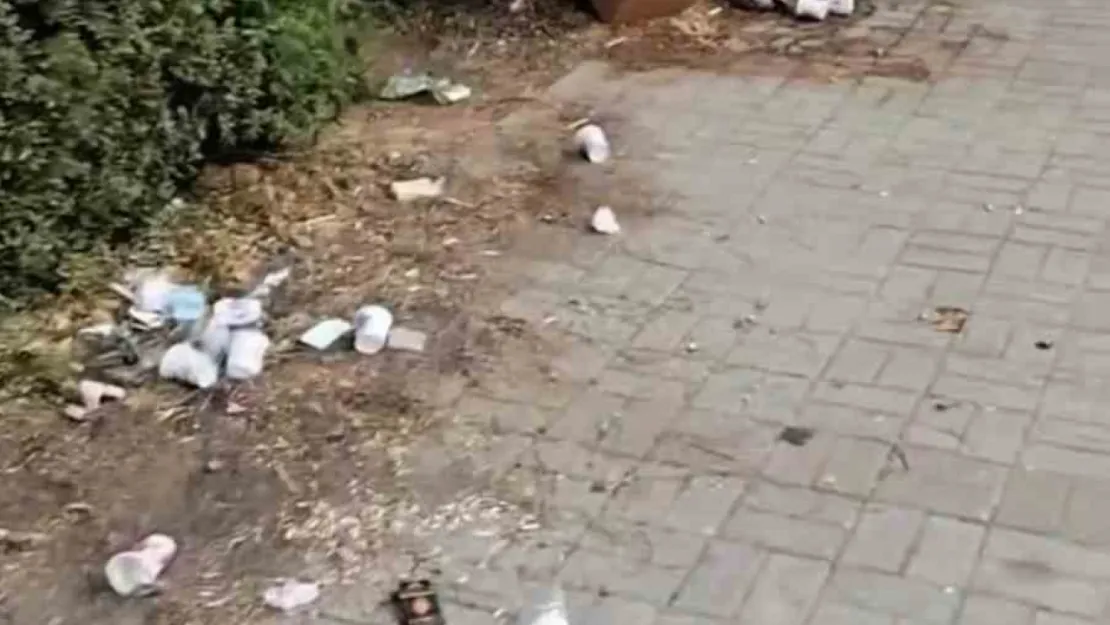 Yediler, içtiler, eğlendiler pisliği doğaya bırakıp gittiler