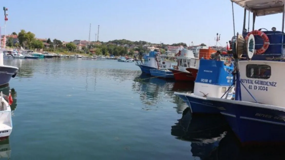 Yeni balık sezonundan bir kötü bir de iyi haber