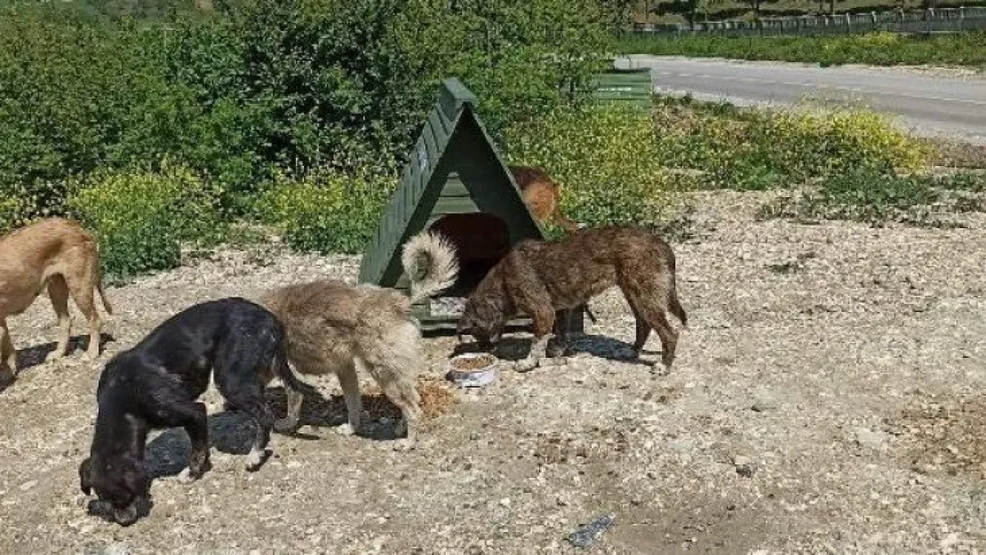 Yok artık! Bunu da yaptılar!