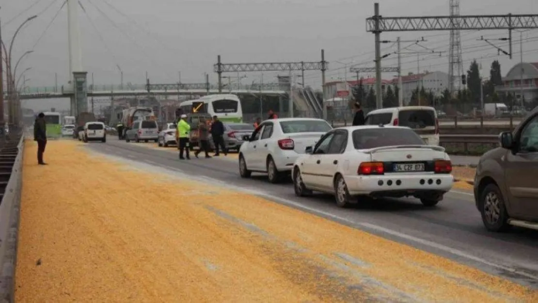 Yol mısır tarlasına döndü