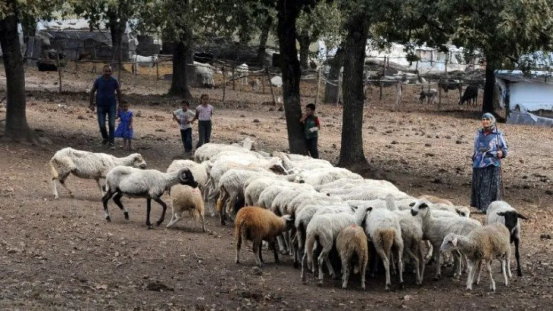 Yörük geleneklerine göre yaşayan aile, yetkililerden yardım istiyor