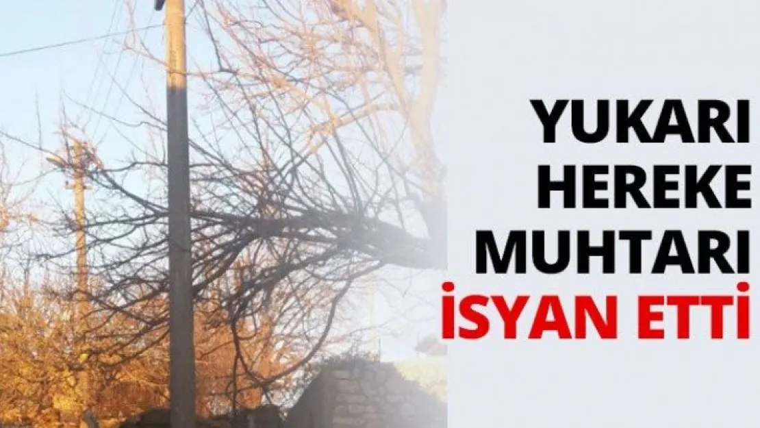 Yukarı Hereke Muhtarı isyan etti