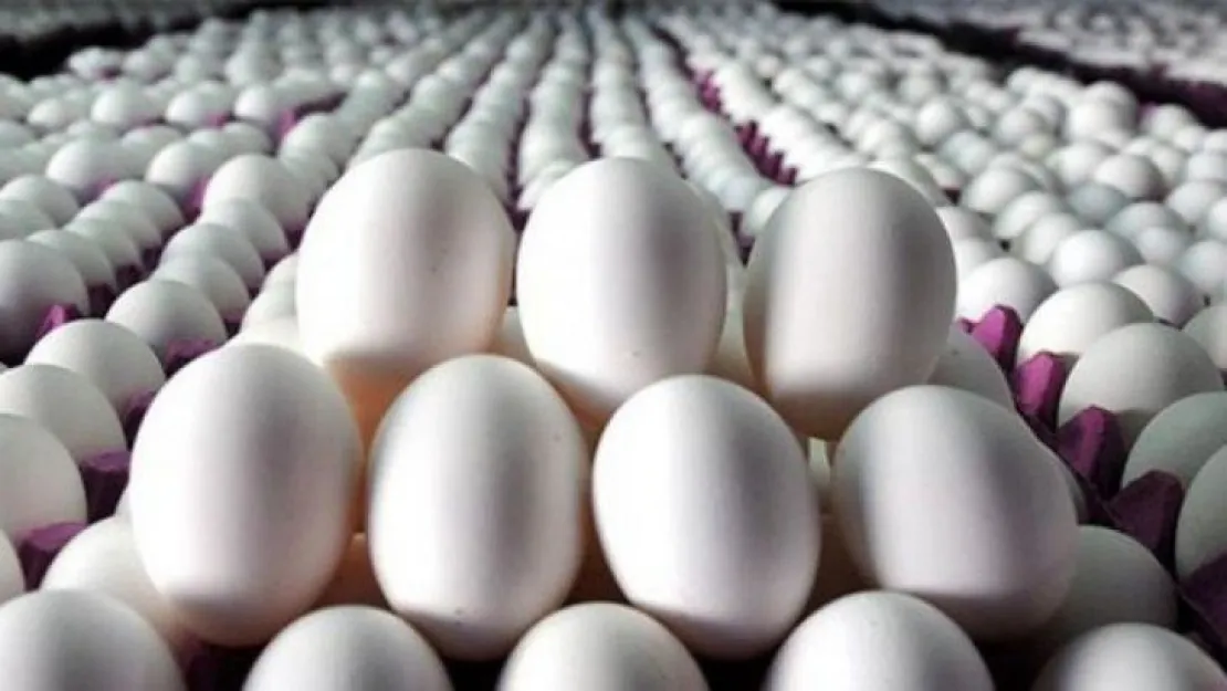 Yumurtayı yüzde 300 karla nasıl sattıkları ortaya çıktı!