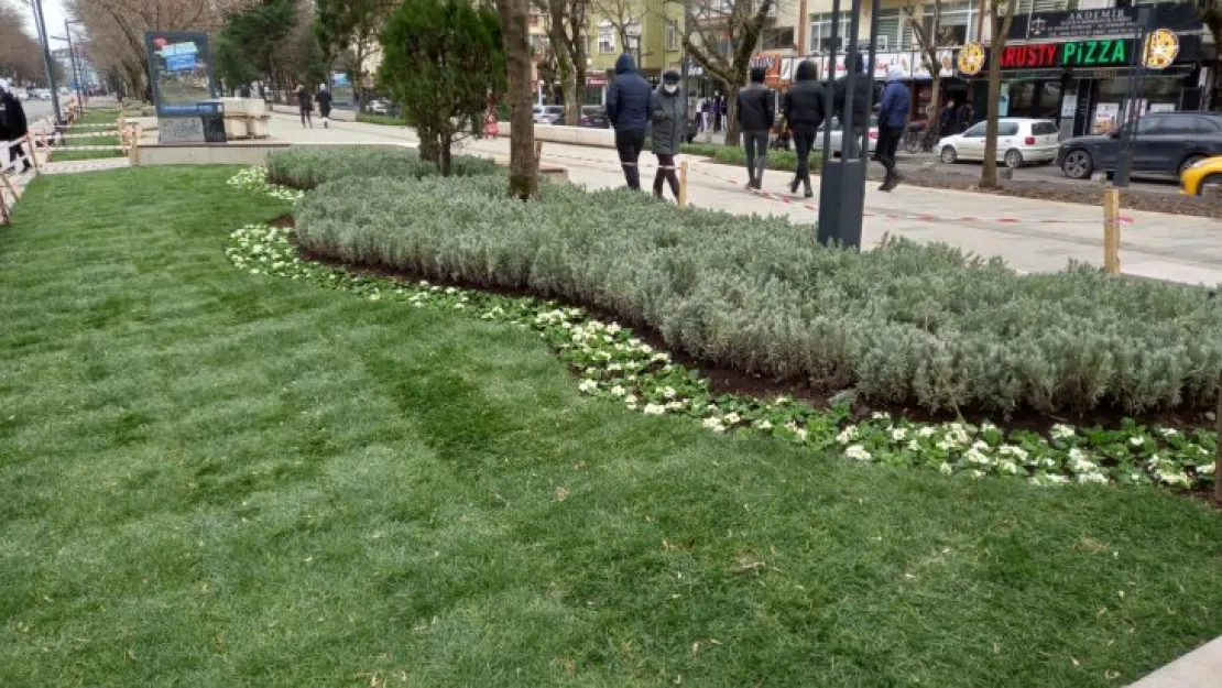 Yürüyüş Yolu güzelleşiyor 