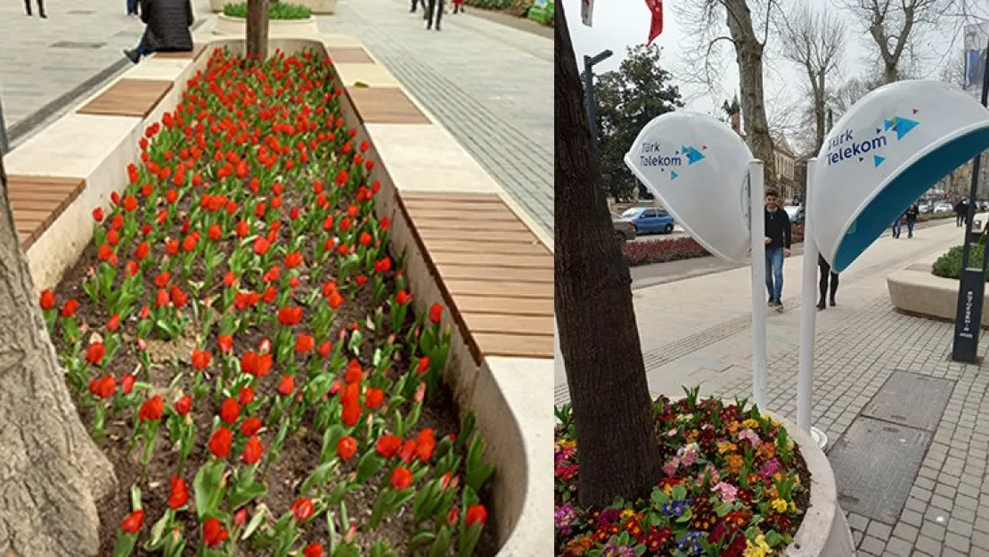 Yürüyüş Yolu'nda güzellikler 