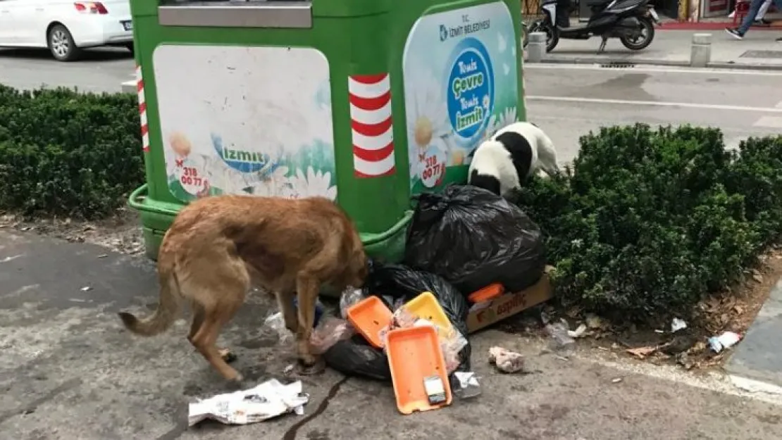 Yürüyüş Yolu'nu temiz tutmalıyız 