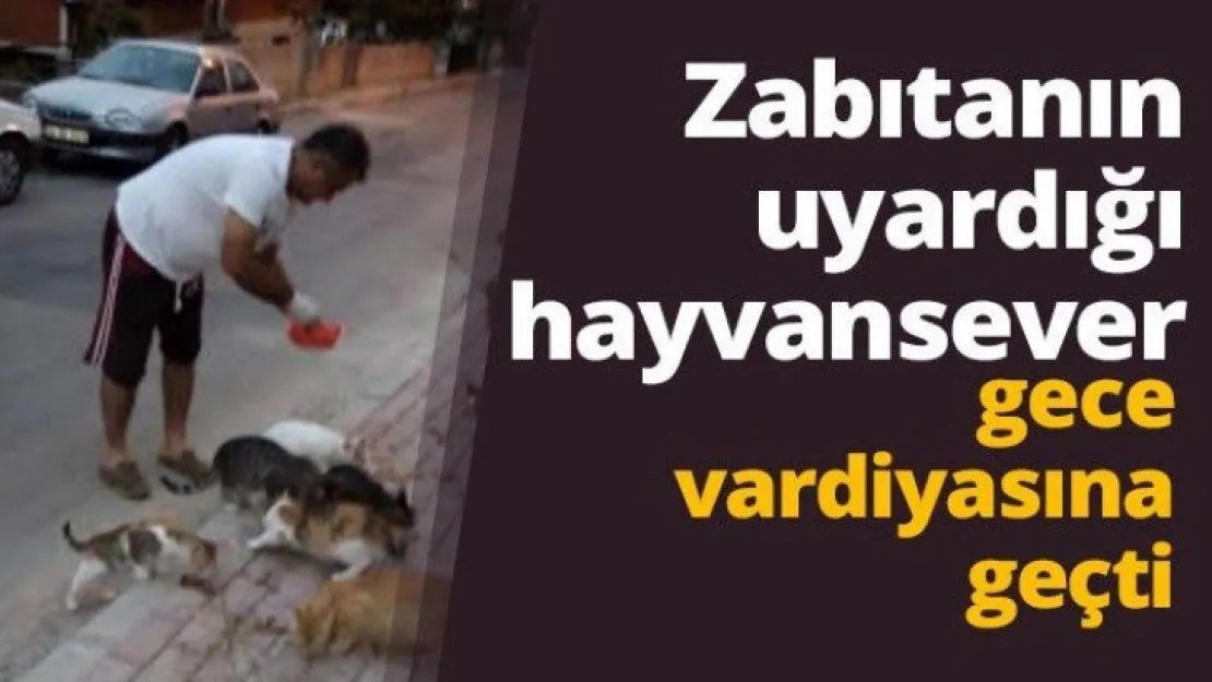 Zabıtanın uyardığı hayvansever gece vardiyasına geçti