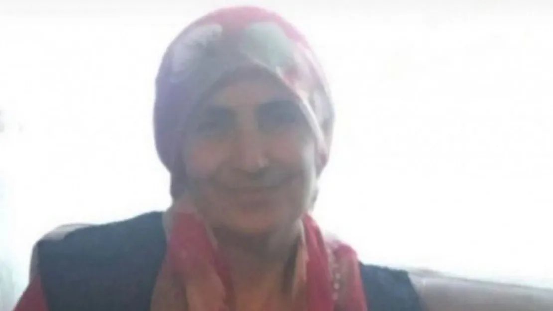 Zerican Kurt Korona'ya yenildi