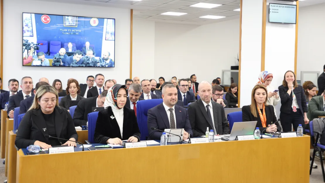Zirai donun enflasyona etkisi ne kadar oldu?