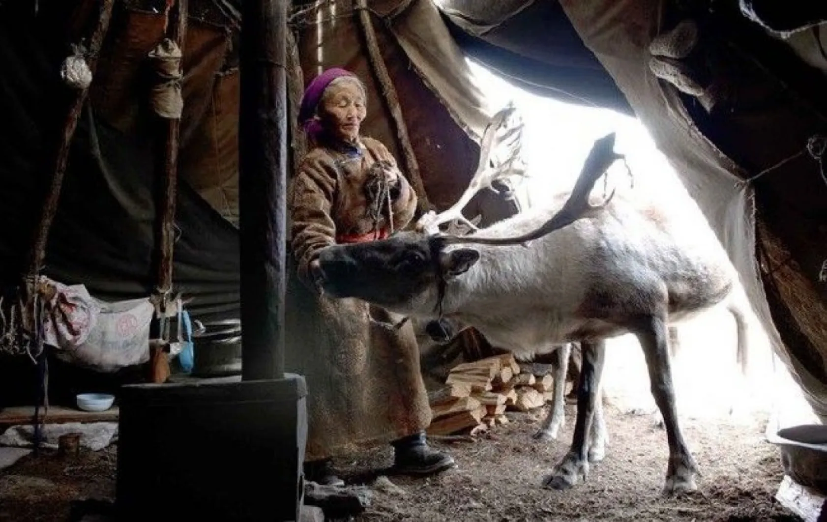 Moğollarda bir kabile eski Türkler gibi yaşamaya devam ediyor