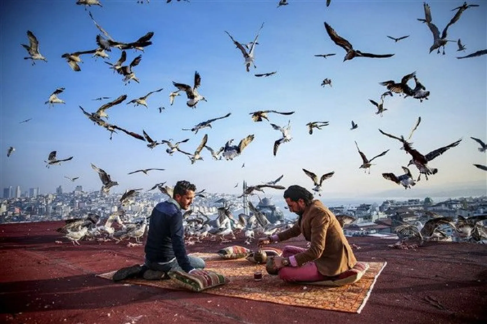 İşte yılın basın fotoğrafları