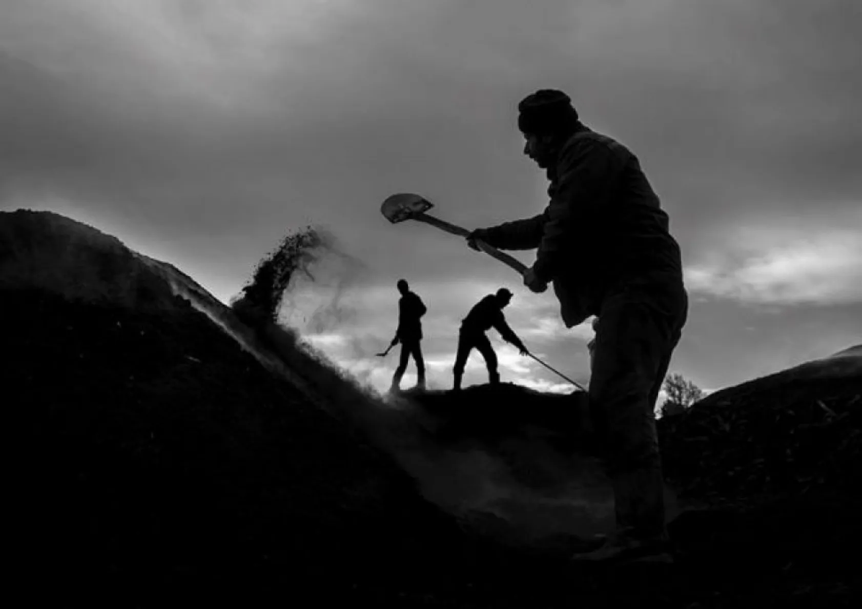 National Geographic Şubat en iyiler...