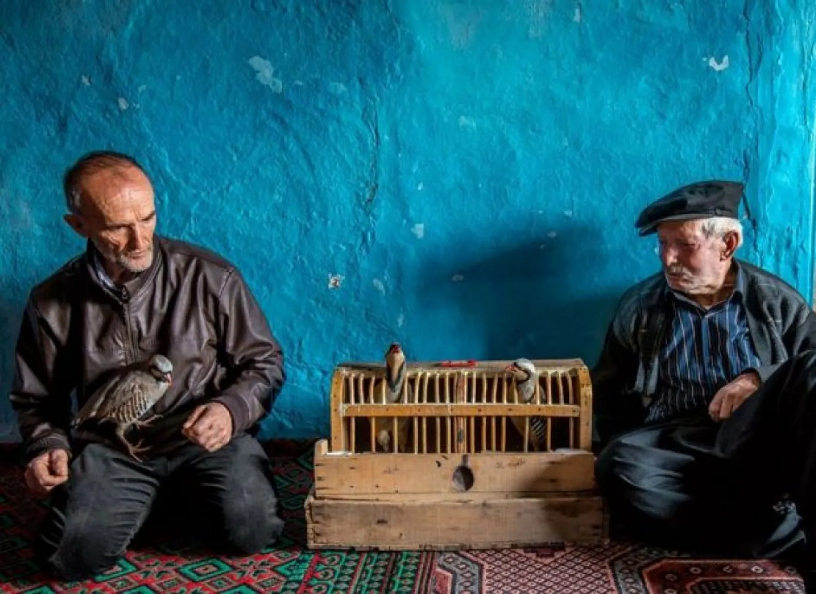 National Geographic Şubat en iyiler...