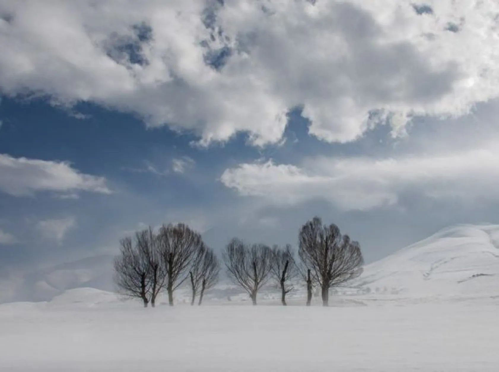 National Geographic Şubat en iyiler...