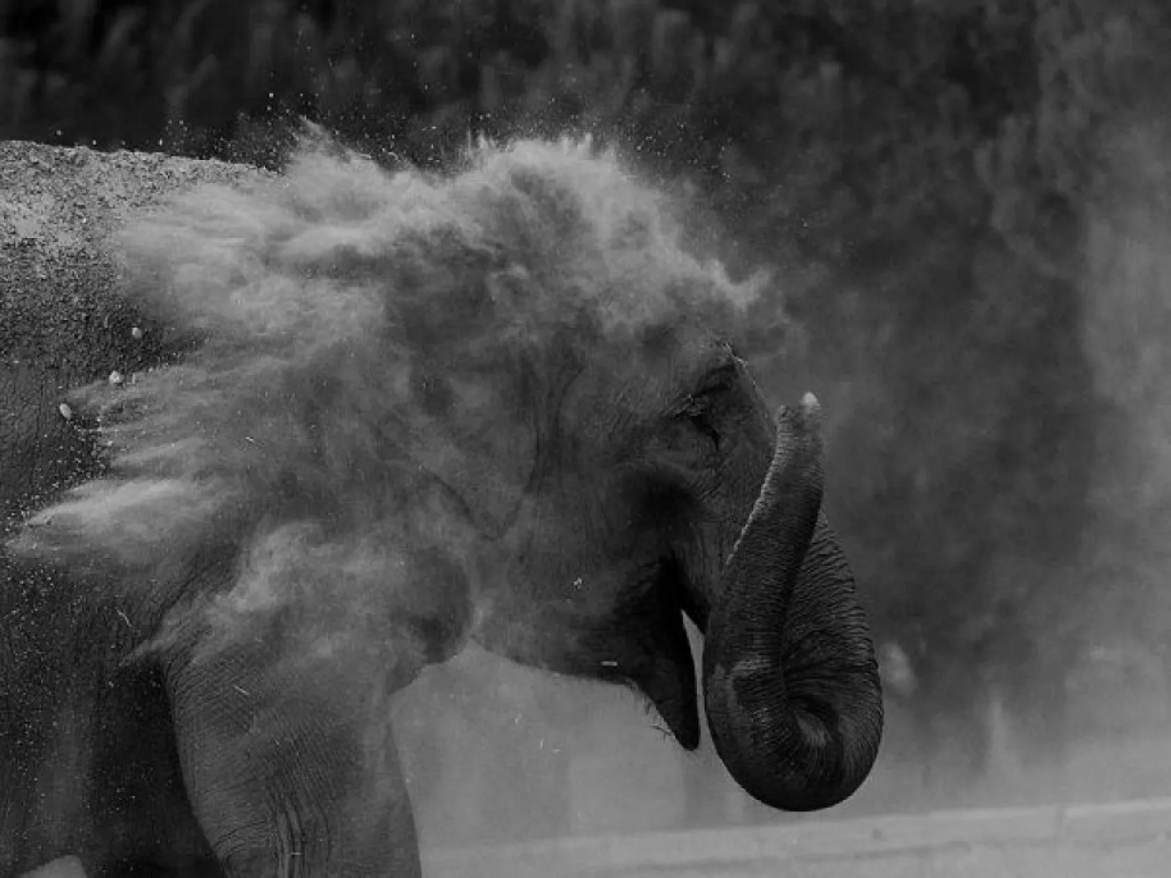 National Geographic Şubat en iyiler...