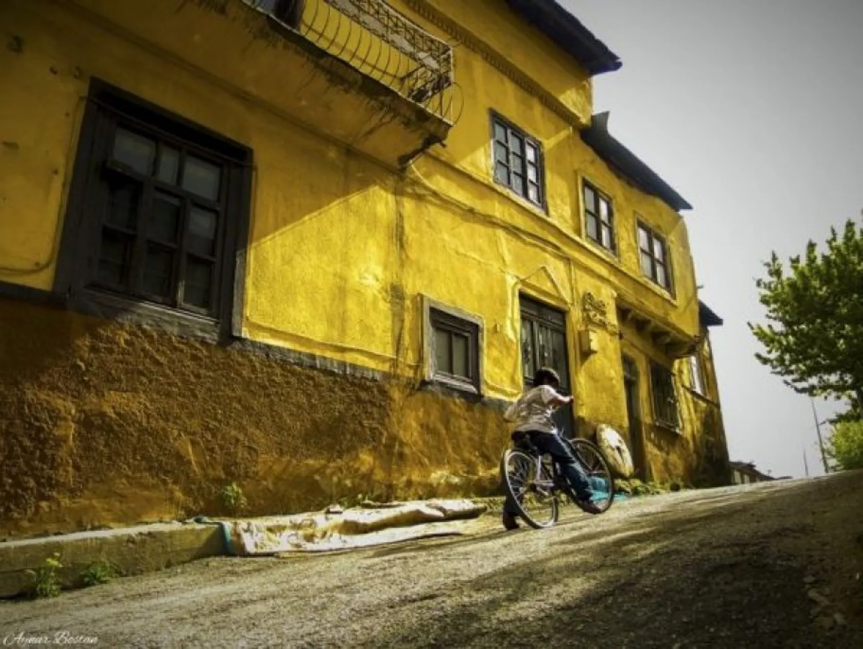National Geographic Şubat en iyiler...