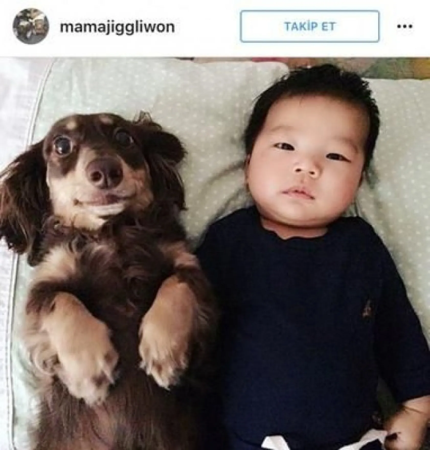 köpeklerle çocukların mükemmel arkadaşlığı