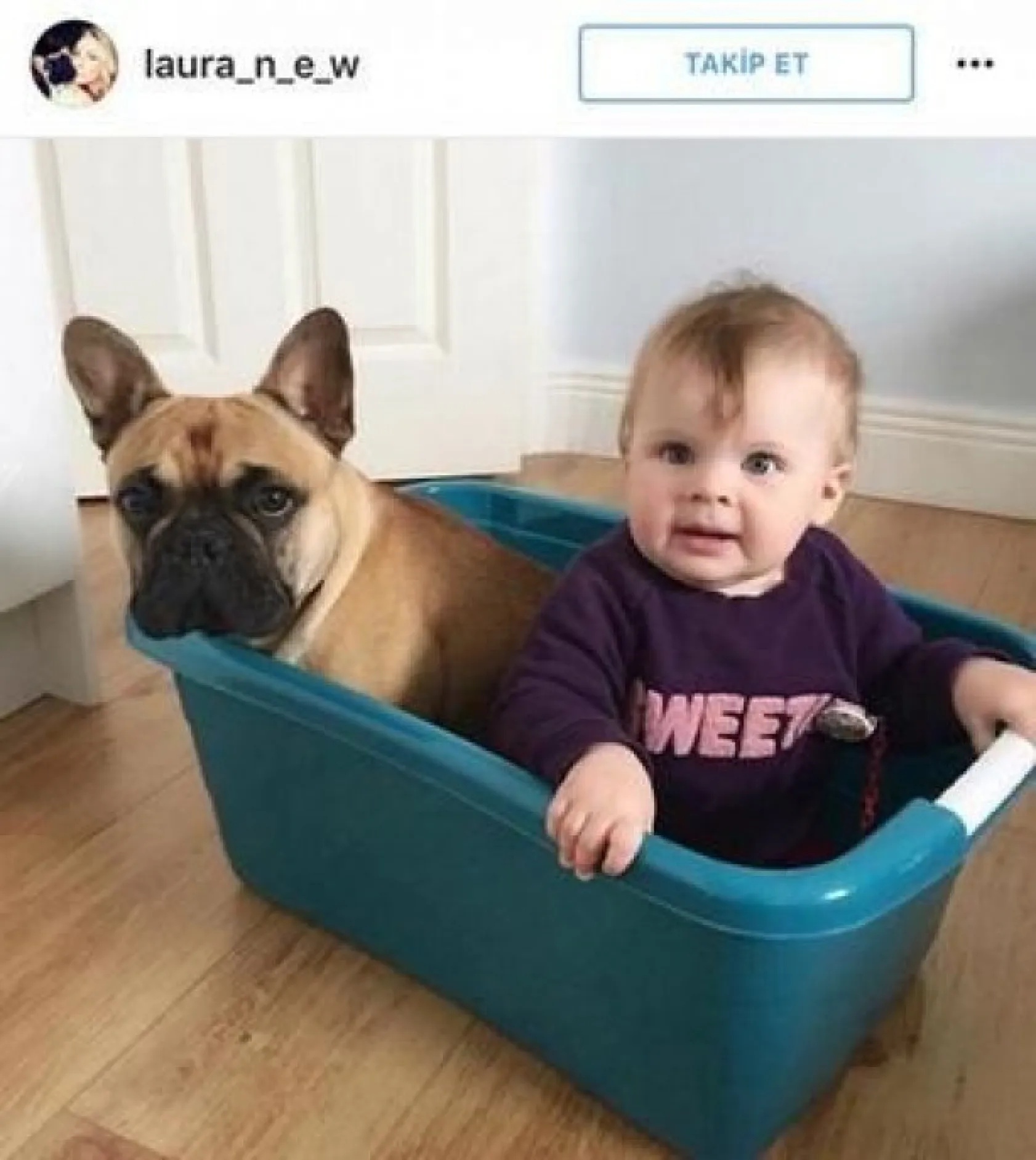 köpeklerle çocukların mükemmel arkadaşlığı