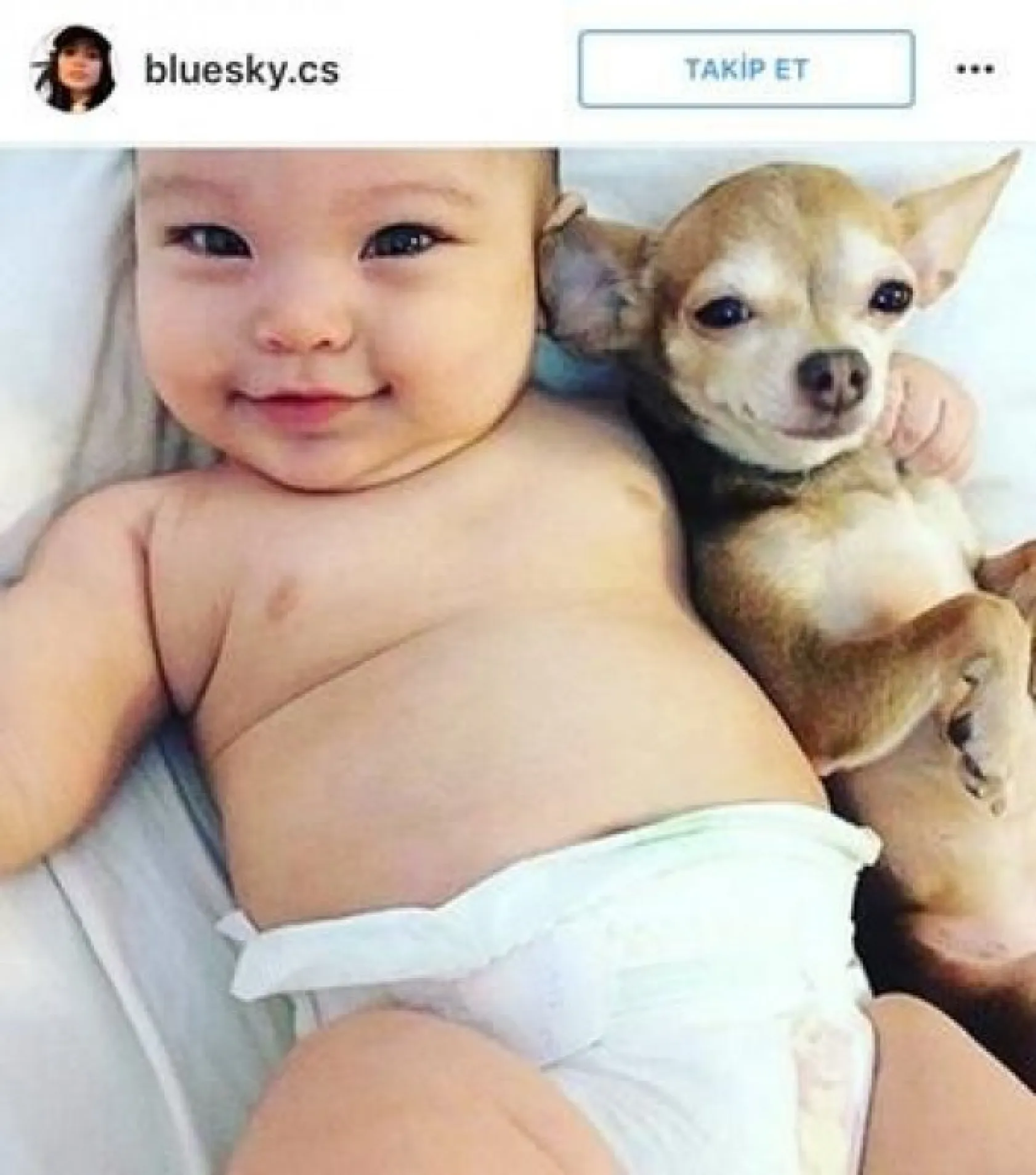 köpeklerle çocukların mükemmel arkadaşlığı