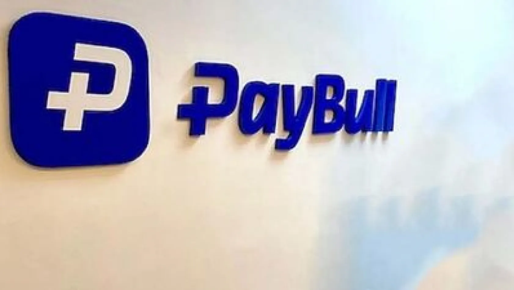 Paybull'a operasyon: 25 gözaltı