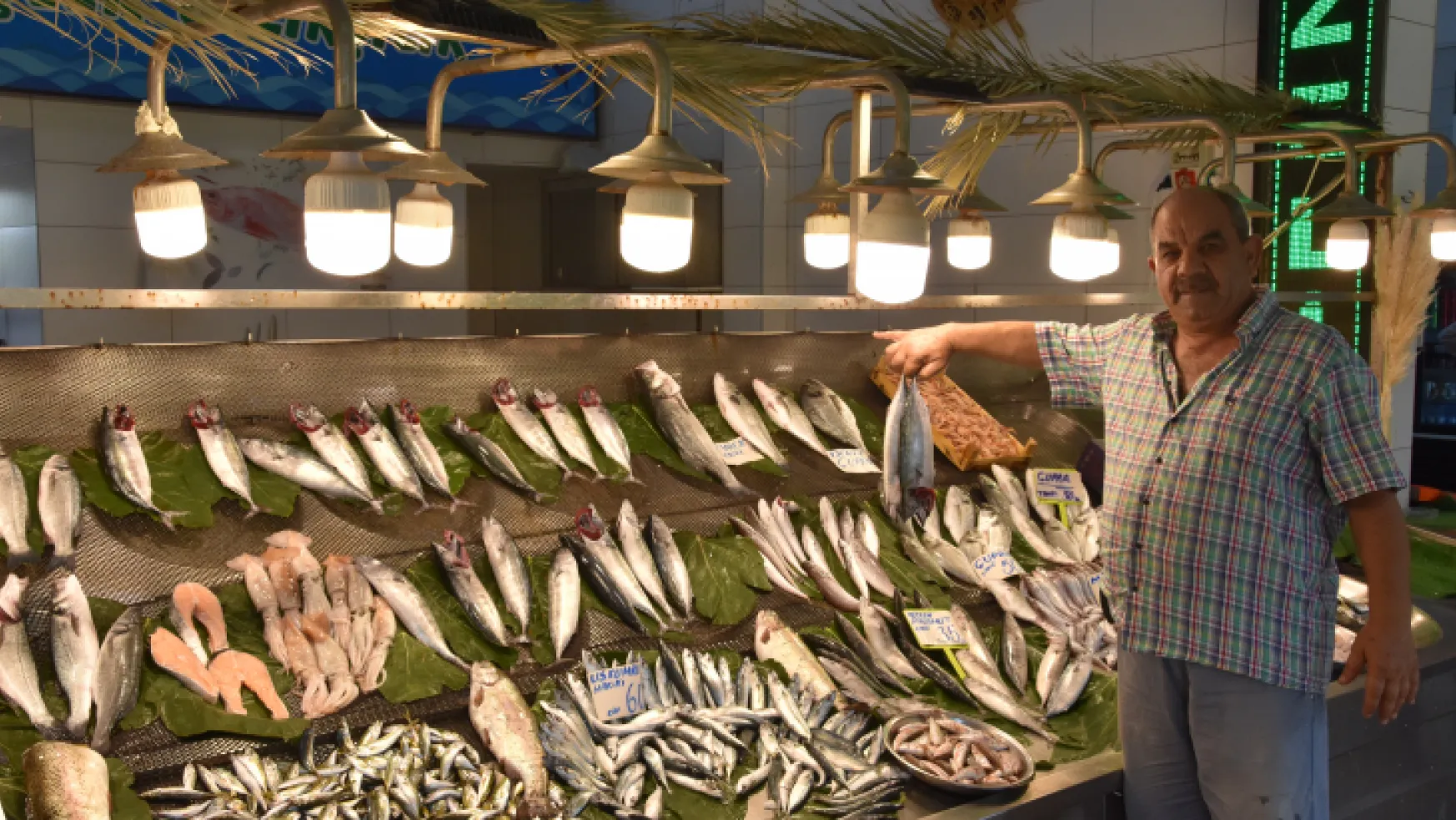 Av yasağının son günü balık fiyatları