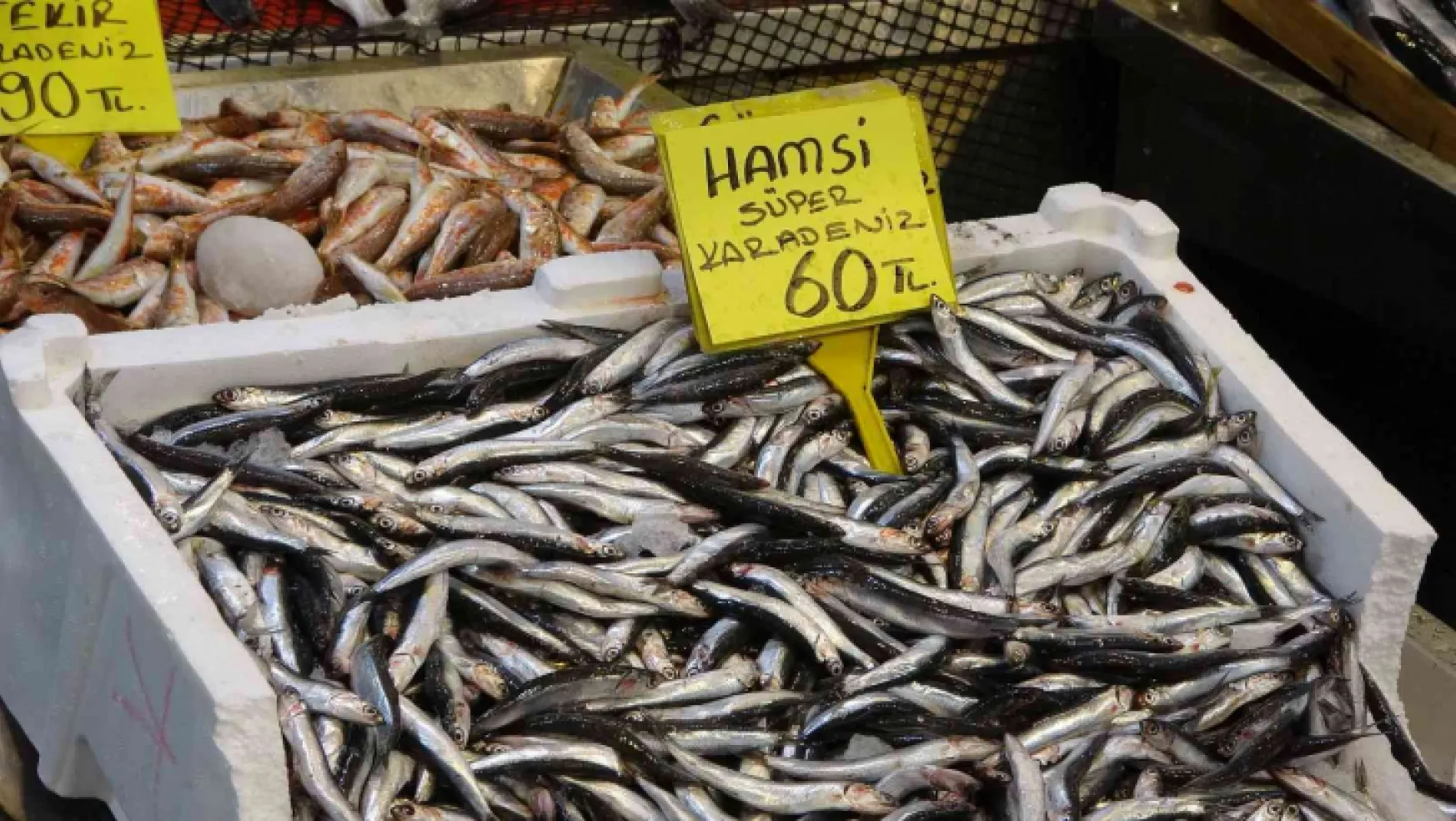 Balık fiyatları geriledi