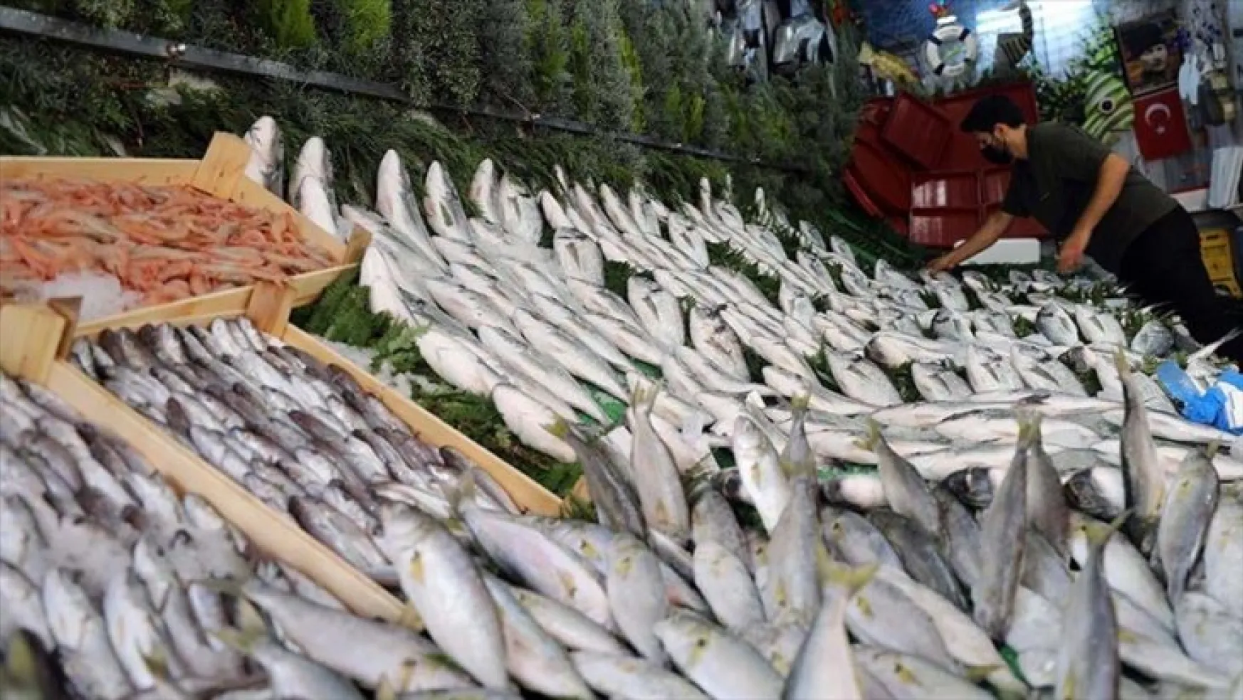 Balık fiyatları yükseldi