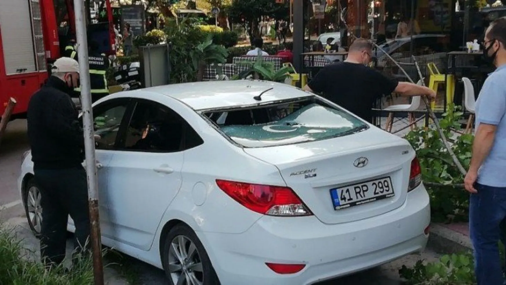 Devrilen ağaç otomobilin arka camını patlattı