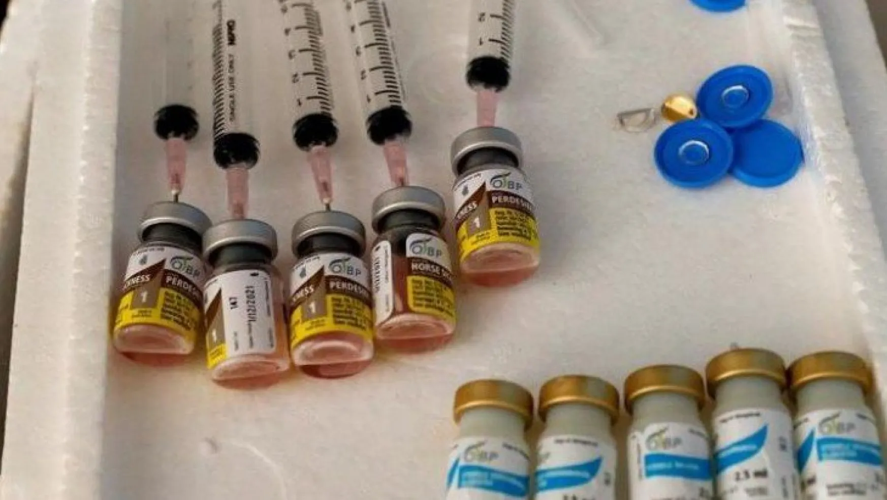 DSÖ'dan aşı müjdesi