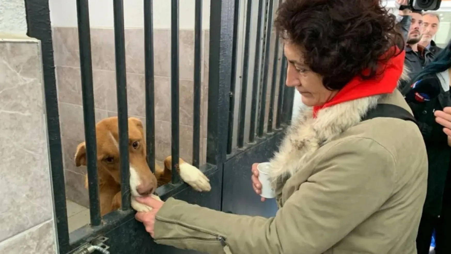 Hayvanseverler rehabilitasyon merkezine gitti, sosyal medyadaki iddialar yalanlandı