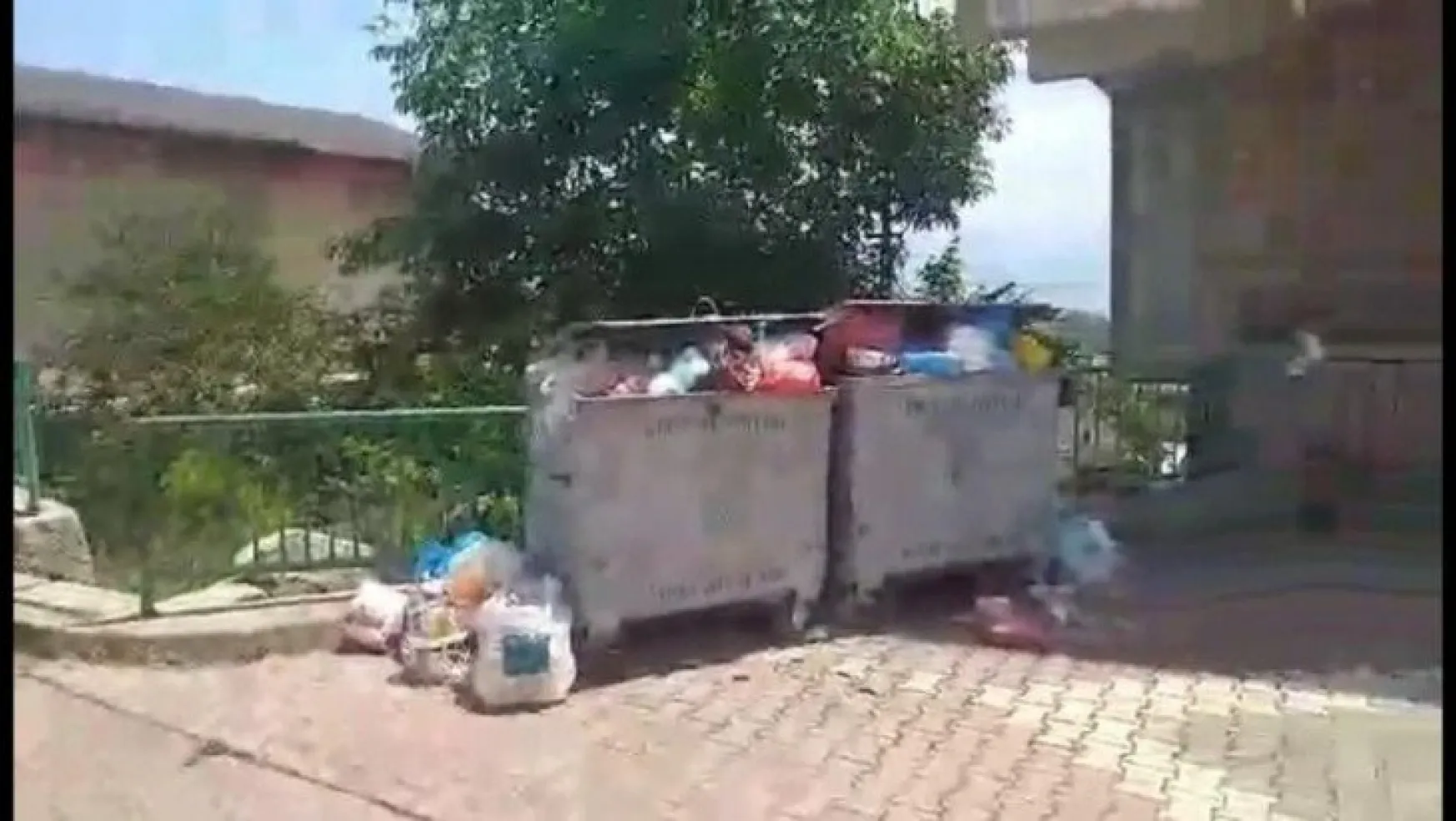 İzmit Belediyesi çöpleri toplamıyor!