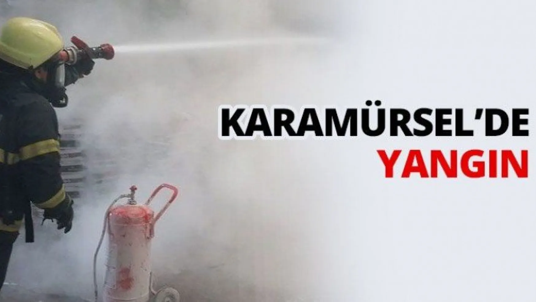 Karamürsel'de yangın