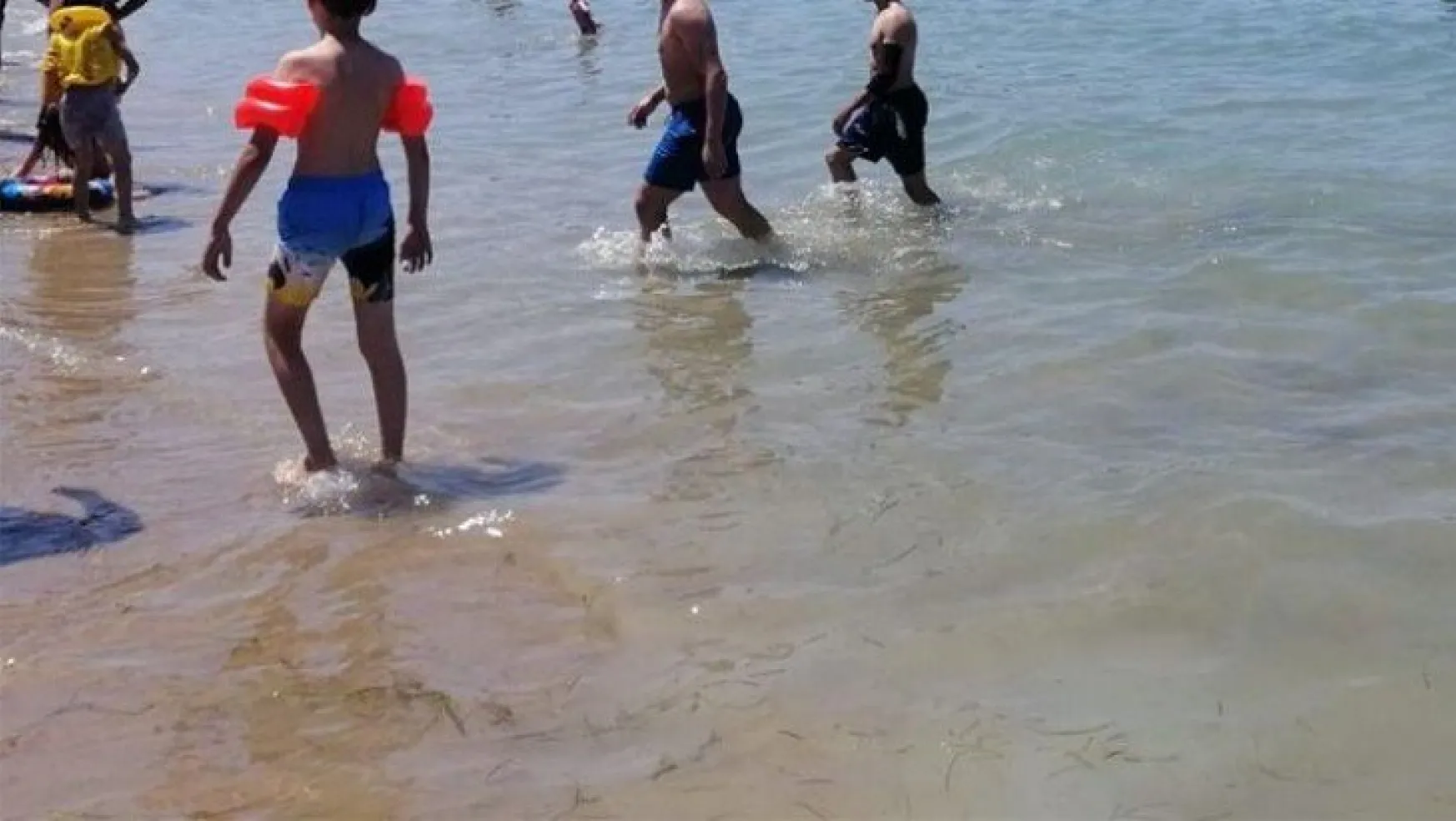 Kefken Kumcağız'daki denizde sağlık skandalı!