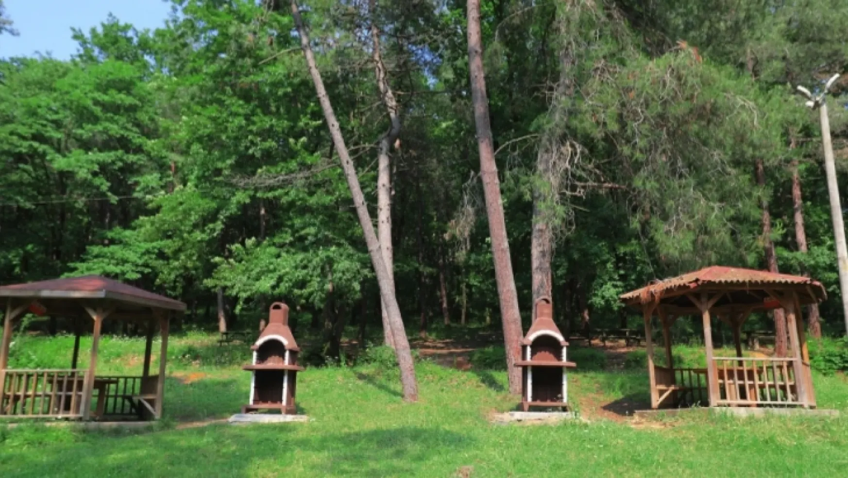 Kocaeli'de 4 orman parkı 20 yıllığına kiralanacak!