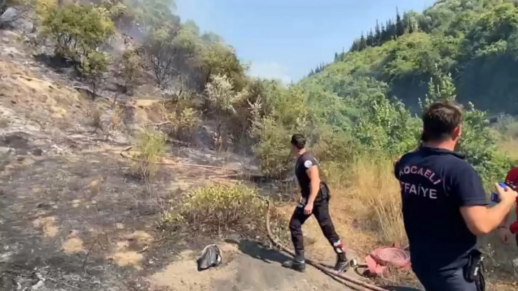Kocaeli'de orman yangını