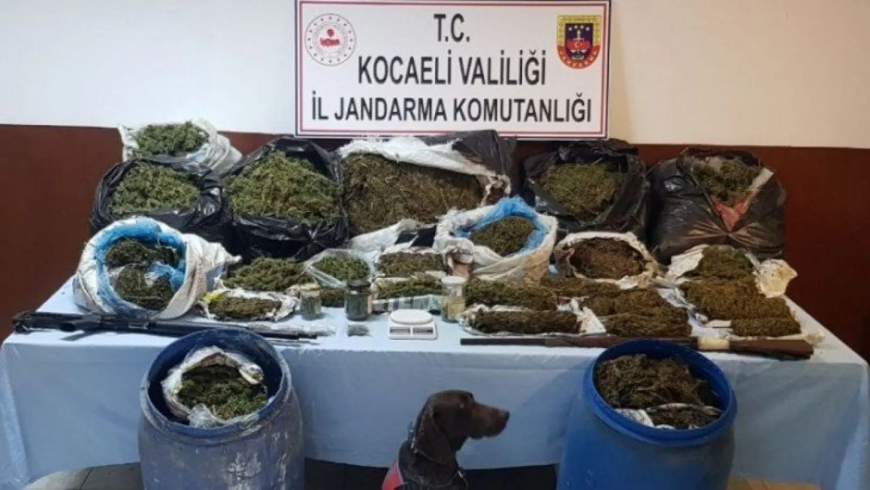Kocaeli'de 61 kilo uyuşturucu ile yakalan 2 kişi tutuklandı