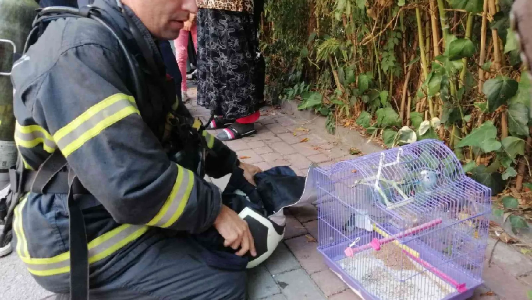 Muhabbet kuşunu yangından itfaiye ekipleri kurtardı