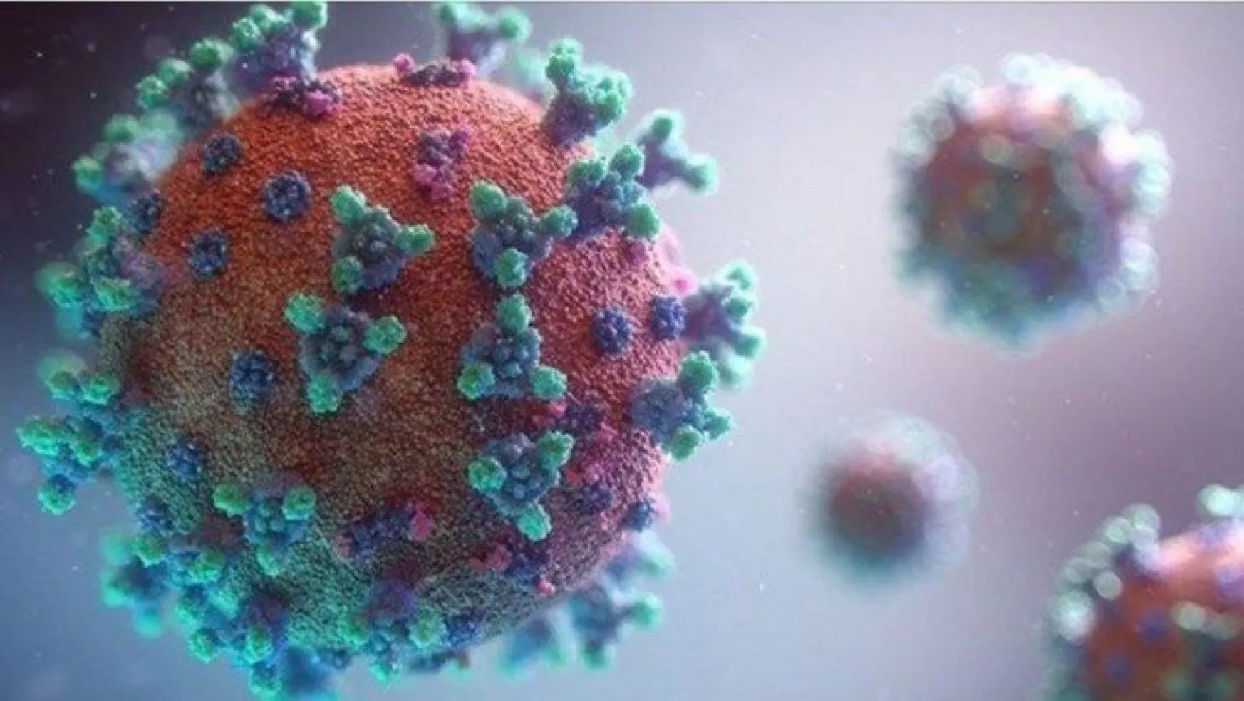 Mutasyonlu koronavirüs 50 ülkede tespit edildi