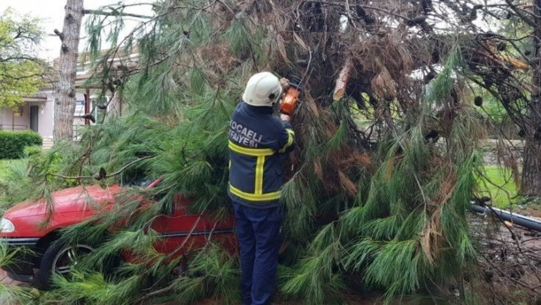 Park halindeki otomobilin üzerine 15 metrelik ağaç devrildi!