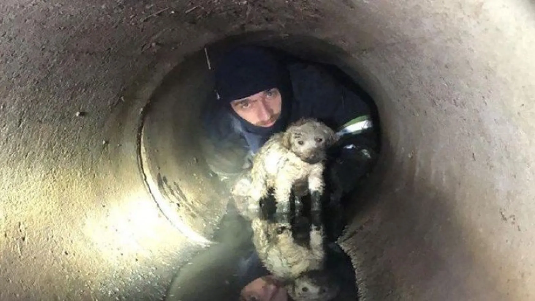 Yağmur kanalına sıkışan köpeği, itfaiye kurtardı