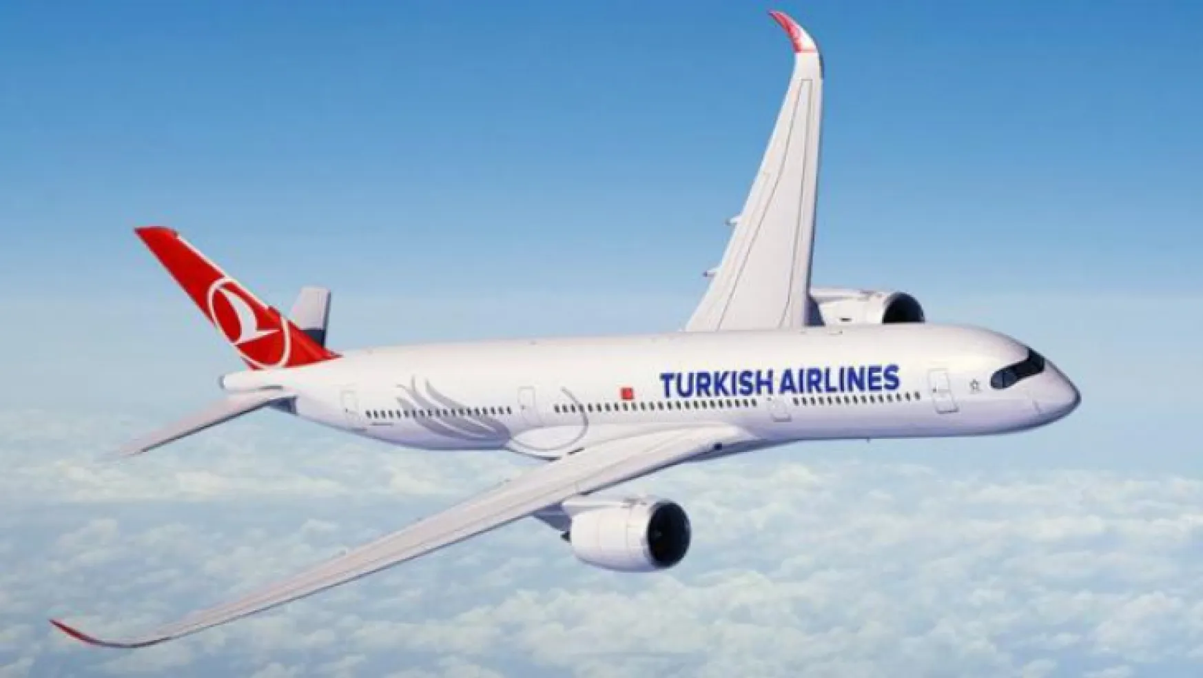 Yasak meyve THY uçağını İstanbul'a geri döndürdü