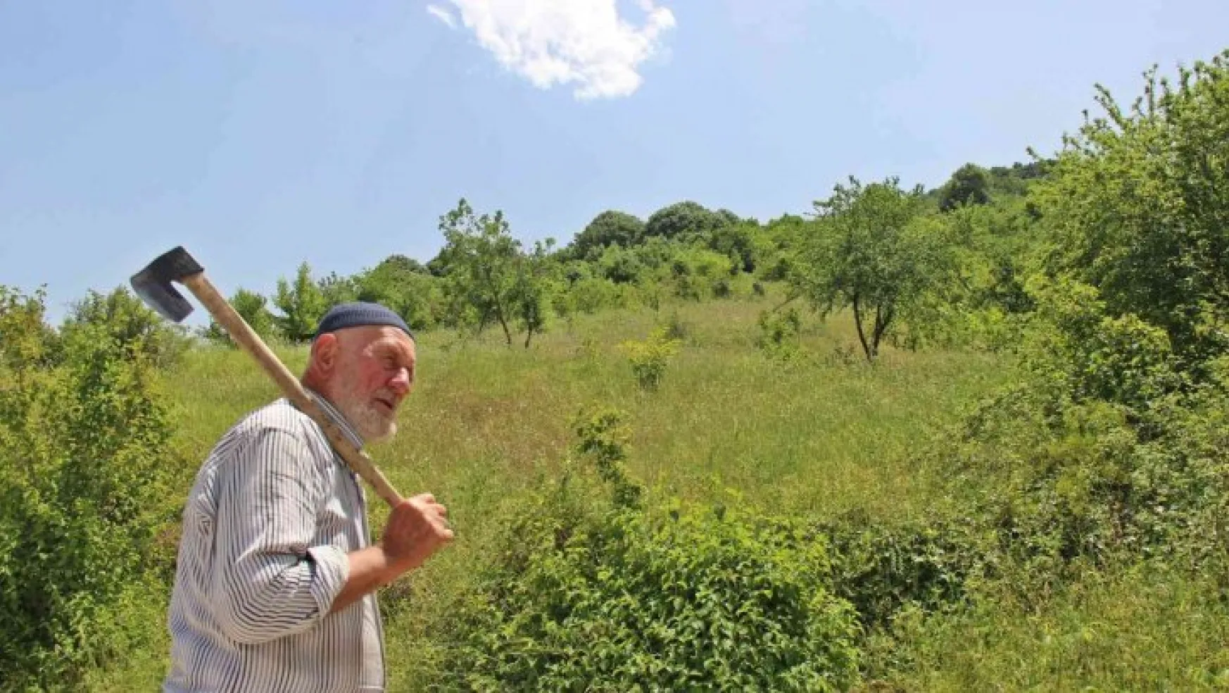 Yaşı 85, elinde baltasıyla ormanları bakın ne için geziyor