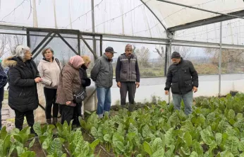 Saygınlar Kulübü üyeleri serada hasat yaptı