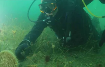 Belediye başkanı dalış yaptı, su altından müjdeyle çıktı