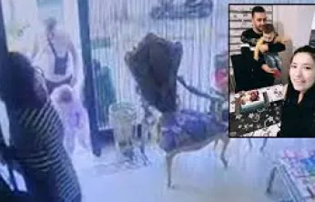 Böcek ailesinin soruşturmasına ilişkin detaylar savcılığın sevk yazısında ortaya çıktı